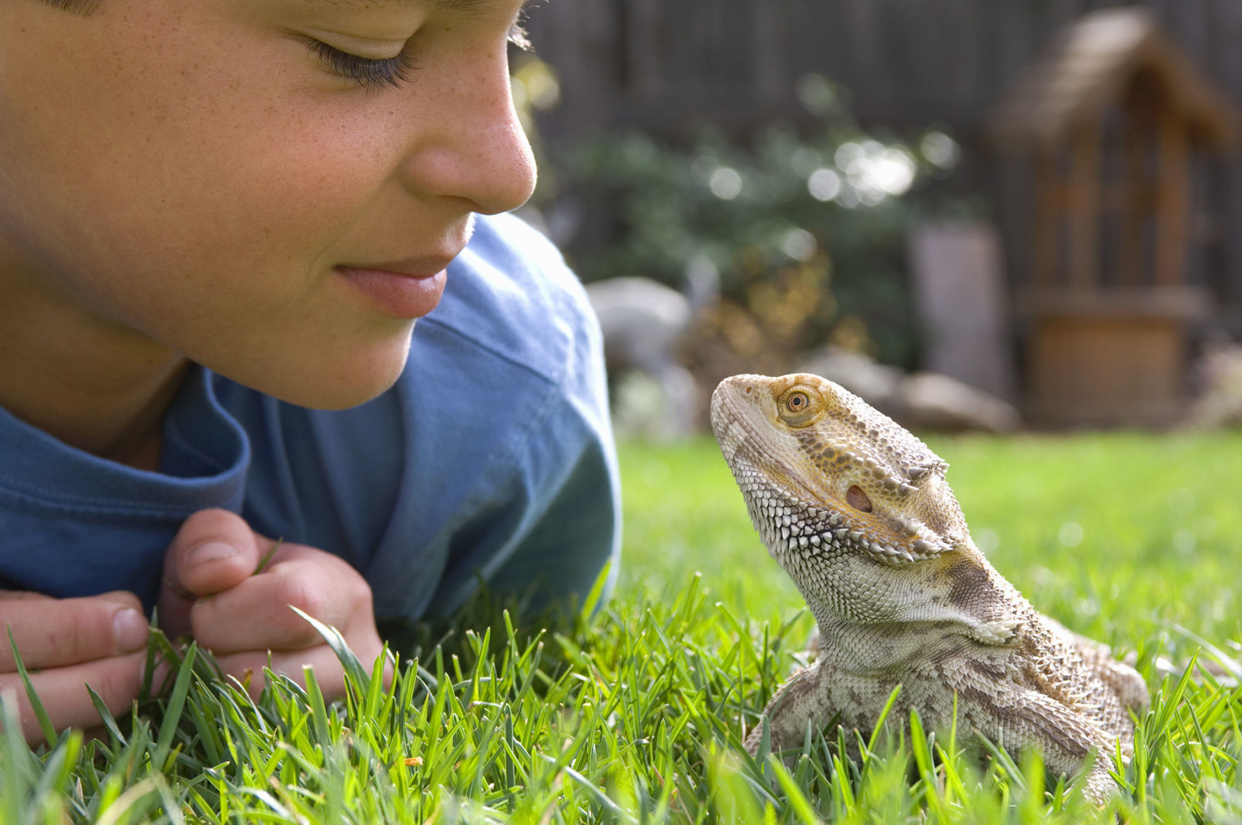 Exotic pet care (lizards, birds, arachnids)